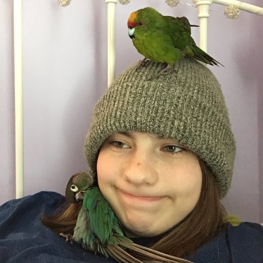 Meet your Posher, Ava